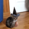 Memes de Halloween 15