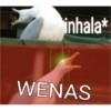 Pal grupo 7