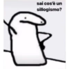 Tik tok meme 6
