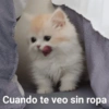 Cuando te veo sin ropa