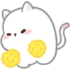 Kucing gemoy 15