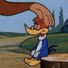 Picapau 8