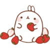 －  〭  ౨ৎ Fresas 31