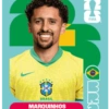 🧿 Laminas Seleccion Brazil🇧🇷 10