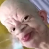 Safadinho 24