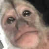 MICADA 6