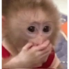 Tapándose