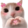KUCING REACTION  10