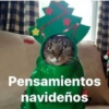 Navidad, Navideño 11