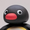 PINGU 11