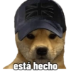 Perritos tácticos 🔥 22