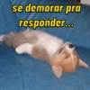 Memes boa noite 15