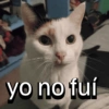 yo no fuí