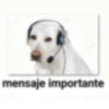 mensaje importante