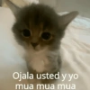 Ojala usted y yo mua mua mua