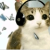 Meowl 🐱🦉 18