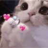 Reações de amor ❤️😻 11