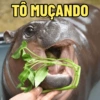 MOO DENG MEMES 🦛 13