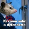 🧿 Tlacuache/ zariguella🦡 6