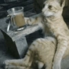 REAGE DE GATIN 8