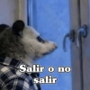 🧿 Tlacuache/ zariguella🦡 9