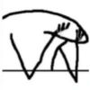Flork memes 20