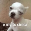 é muito cínica
