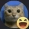 Dilo con gatos 16