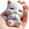PEQUEÑOS GATITOS ☁️🥺 13