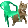 Meme Kucing Lempar 😾 10