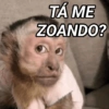 TÁ ME ZOANDO?