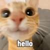 Cute stickers 6