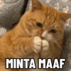 Kucing Anomali 5 15