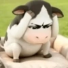 Sapi tiktok filter cow 🐮 2