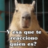 Yesa que te reacciono quien es?