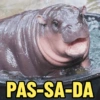 MOO DENG MEMES 🦛 14