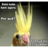 Aleatório 2 20