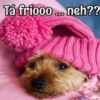 Tá friooo... neh??