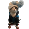 Gatitos con frío ☕🥶🥶💤 14