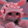 Fofos🥰❤️ 12