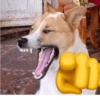 MEMES PRA VC 🥺🤙 12