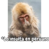 Q miras prro? 14