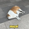 muţei