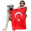 Everyone loves a turkish girl 17