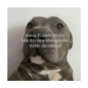 Humor duvidoso 27