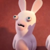 RABBIT  9