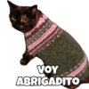 VOY ABRIGADITO