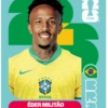 🧿 Laminas Seleccion Brazil🇧🇷 9
