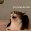 Safadinho 14