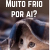 MUITO FRIO POR AI? QC